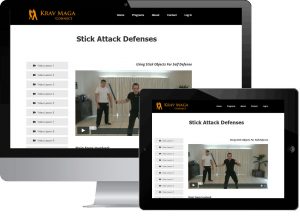 Stick Attack Defenses