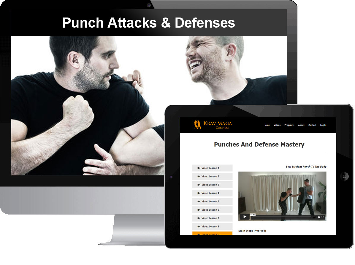 Punch Attacks & Defenses